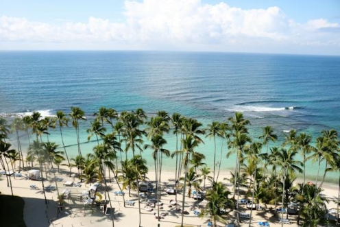 Beach with palm trees in Jamaica.