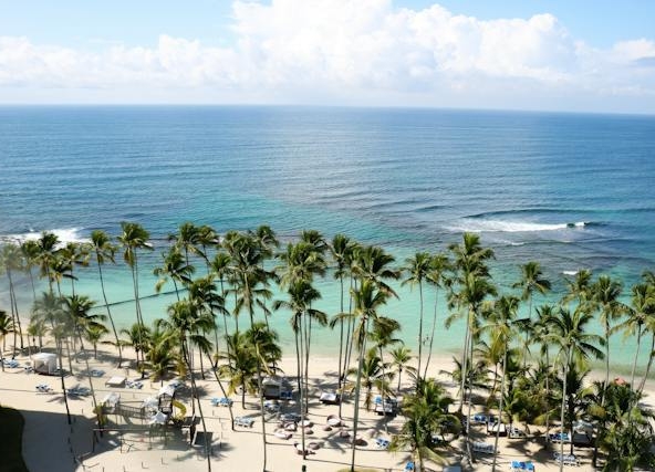 Beach with palm trees in Jamaica.