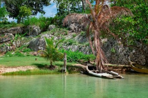 White boat near a brown tree, Ocho Rios, Jamaica