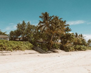 Property on the beach